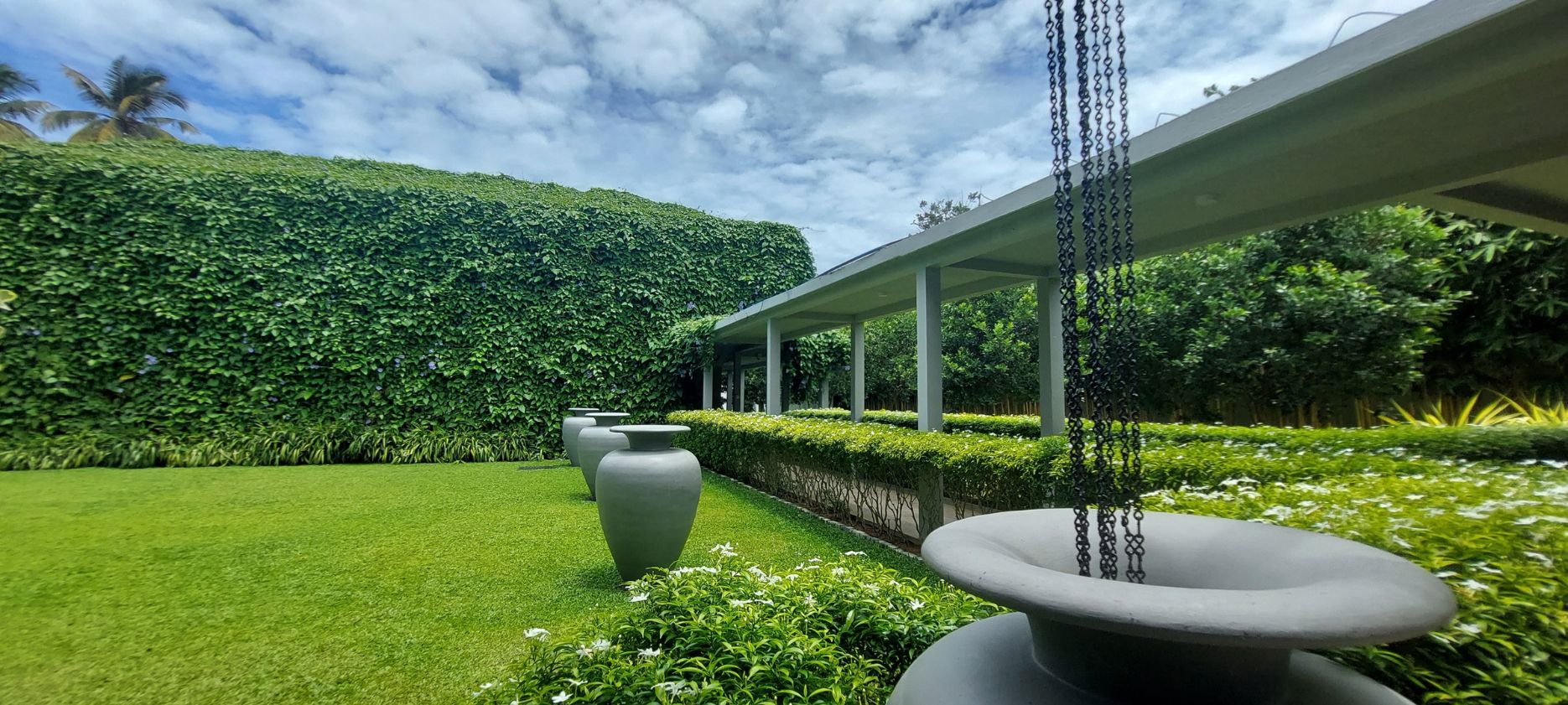 Tropical Garden