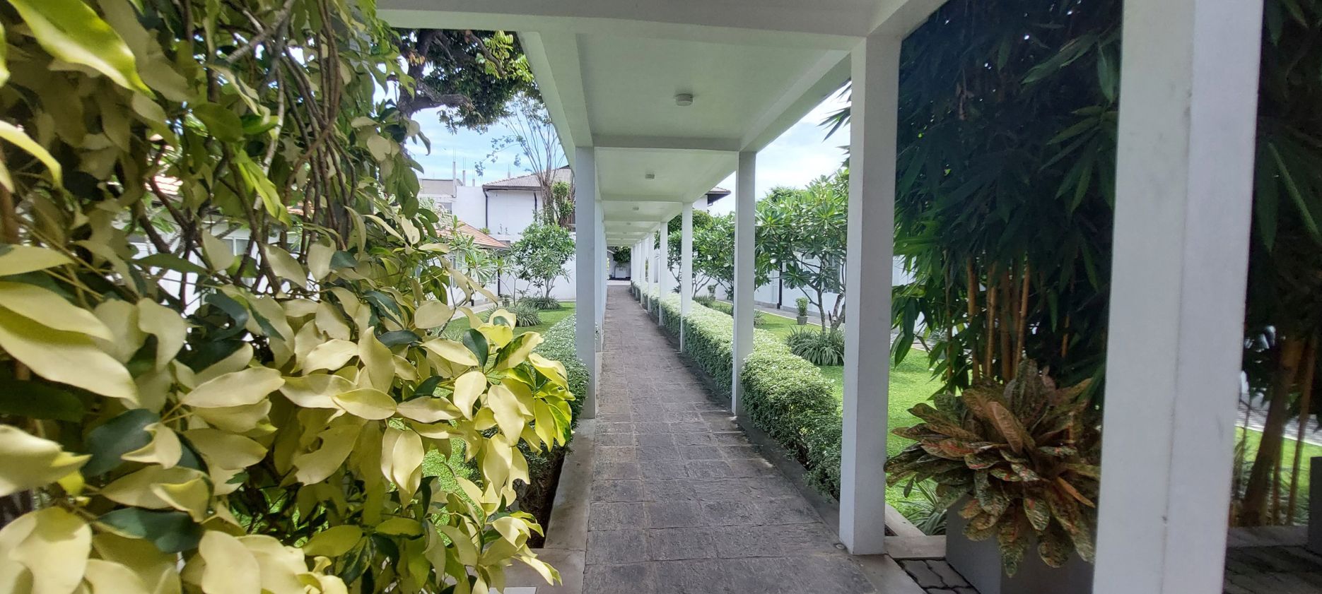 Garden Pathway